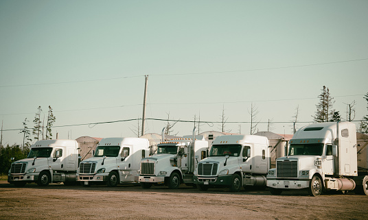 Lima - Circa July 2020: Freightliner Semi Tractor Trailer Trucks Lined up for Sale. Freightliner is owned by Daimler Trucks.