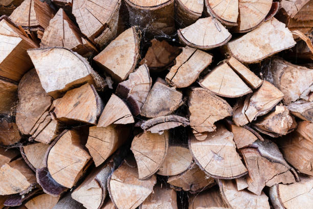 istock Closed up pile of firewood background. 1495035407