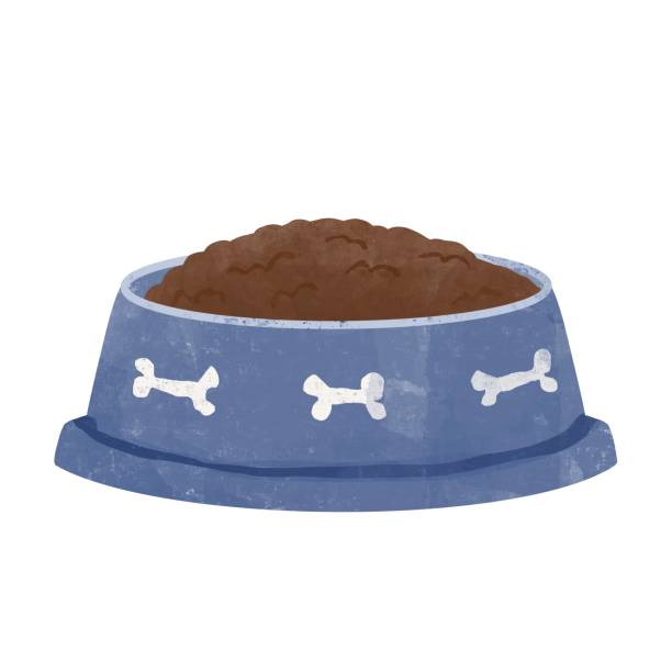 ilustrações de stock, clip art, desenhos animados e ícones de dog food in a bowl, icon material. - plate plastic blue white background