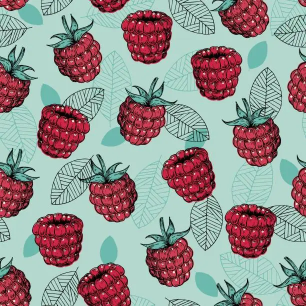 Vector illustration of Seamless raspberry pattern. Artistic texture. Vintage color.