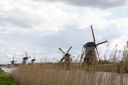 A Springtime afternoon at Kinderdijk - a village in the Netherlands known for its iconic 18th-century windmills. It has been UNESCO World Heritage since 1997