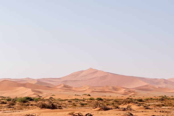 istock Desert landscape near Sossusvlei 1495044109