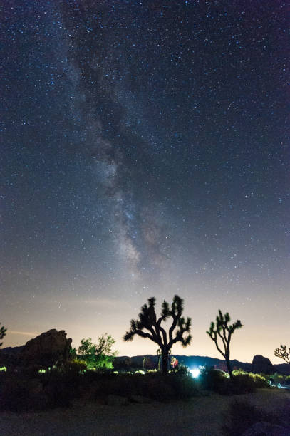 istock The Milky Way over Joshua Tree National Park 1495044270