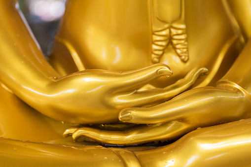 buddha hand meditating