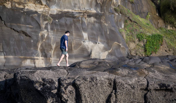mężczyzna chodzący boso po skałach na plaży muriwai. auckland. - murawai beach zdjęcia i obrazy z banku zdjęć