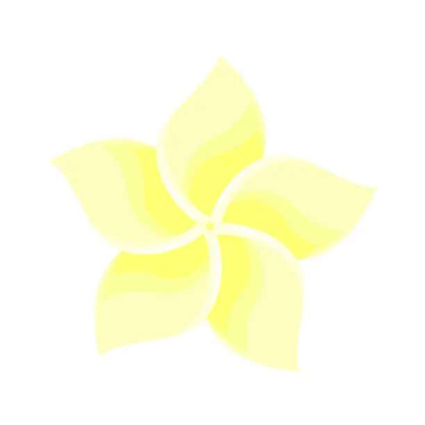 Vector illustration of Plumeria tropical flower isolated illustration. Vector frangipani design of yellow hawaiian asian flower. Beautiful summer blossom