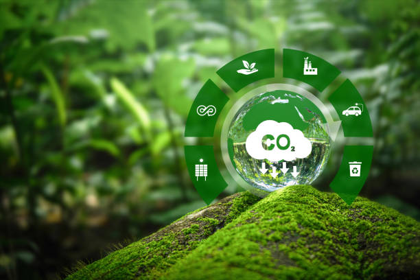 istock Reduce CO2 emission concept. Net zero greenhouse gas emissions target. Reducing carbon footprint concept.Renewable energy-based green businesses can limit climate change and global warming. 1495051181