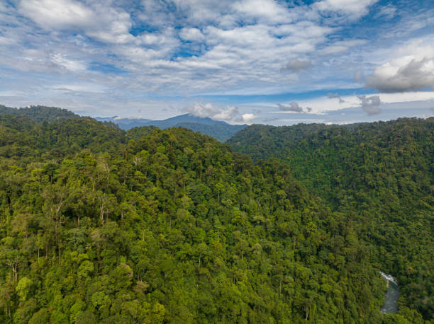 istock Tropical landscape with mountains. Sumatra, Indonesia. 1495054813