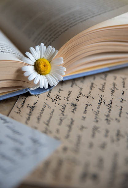 istock White daisy on a book and vintage handwritten cards 1495055006
