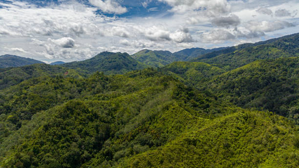 Mountains and hills with green vegetation and trees in the tropics. Sumatra, Indonesia.