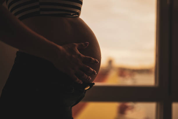 istock Pregnant woman at home 1495055116