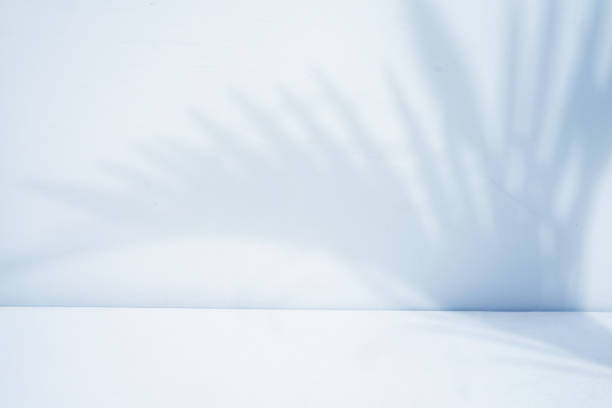 istock Palm leaf shadow overlay. Minimalist blue room for product display 1495056520