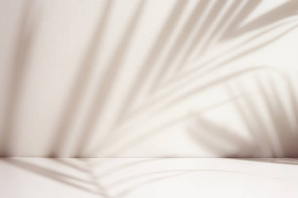 istock Palm leaf shadow overlay in minimal room 1495056551