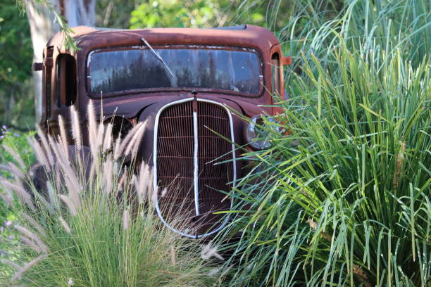 istock Old rusty car garden art 1495057187