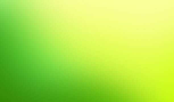 istock fresh green color gradation background with nature freshness concept 1495058920