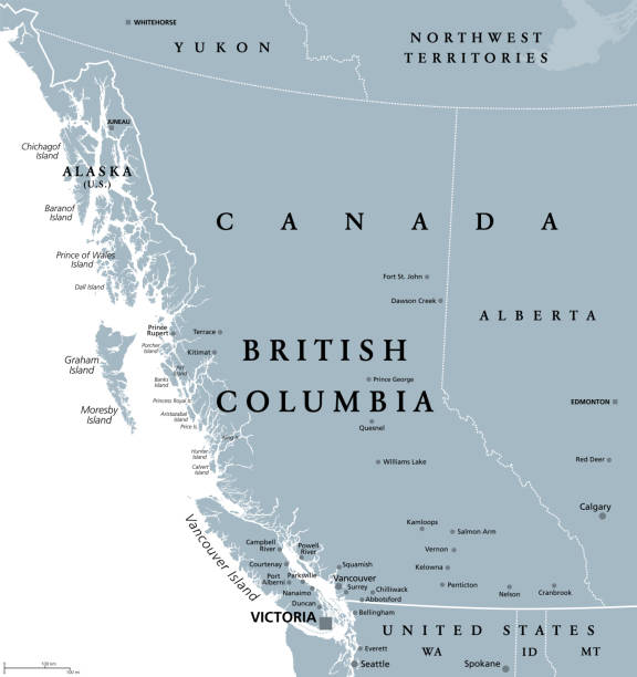 British Columbia, BC, province of Canada, gray political map British Columbia, BC, province of Canada, gray political map. Situated on the Pacific Ocean, bordered by Alberta, Northwest Territories, Yukon, and the US states Alaska, Idaho, Montana and Washington. pacific northwest region stock illustrations