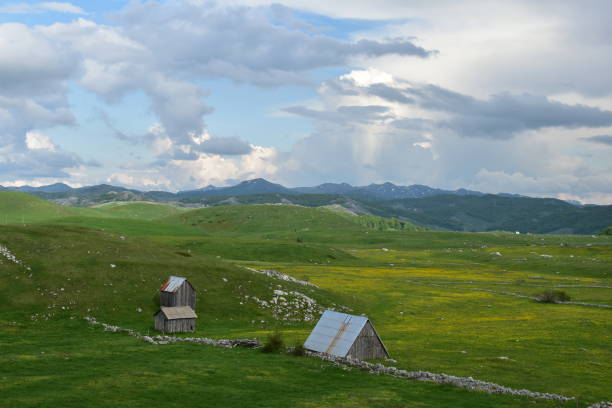 istock landscape with a mountain houses in summer 1495077313