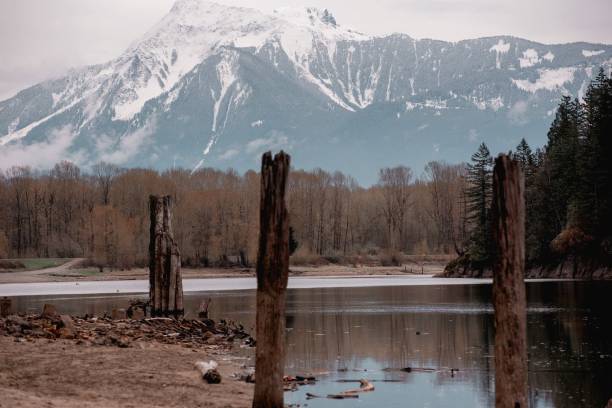 istock Tranquil valley surrounded by towering mountains and aged logs. 1495080954