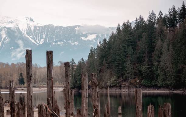 istock Tranquil valley surrounded by towering mountains and aged logs. 1495080956