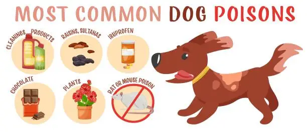 Vector illustration of What is poisonous to dogs. Editable vector illustration