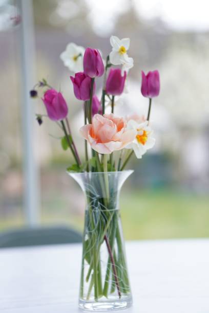 istock Clear glass vase filled with vibrant, multicolored flowers 1495083446
