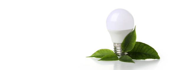 istock Energy saving bulb with leaves isolated on white background. 1495083585