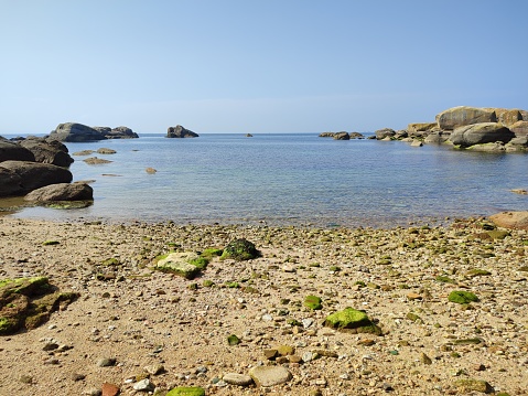 Virgin beach environment. In the shape of a cove, with a white sand base and protected. Regular bus line with a stop in Palmeira.