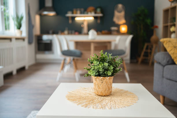 istock Houseplant on the coffee table at the modern apartment 1495086547