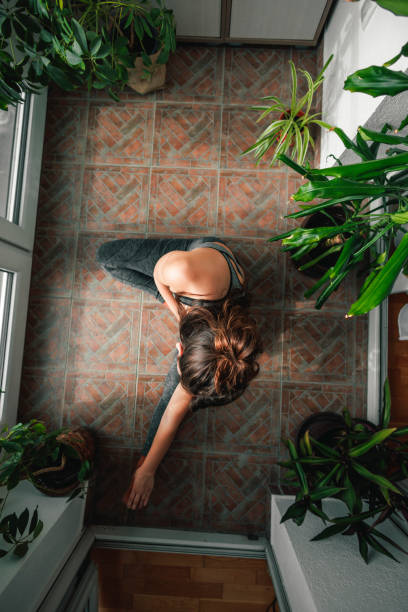 istock Woman working out at home 1495086578