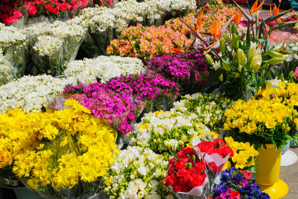 istock colorful local flowers market. 1495086857