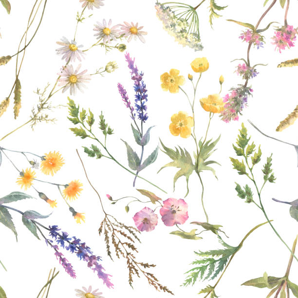 istock Floral watercolor pattern with flowers isolated on white background. Summer meadow. Delicate watercolor textile print. 1495088354