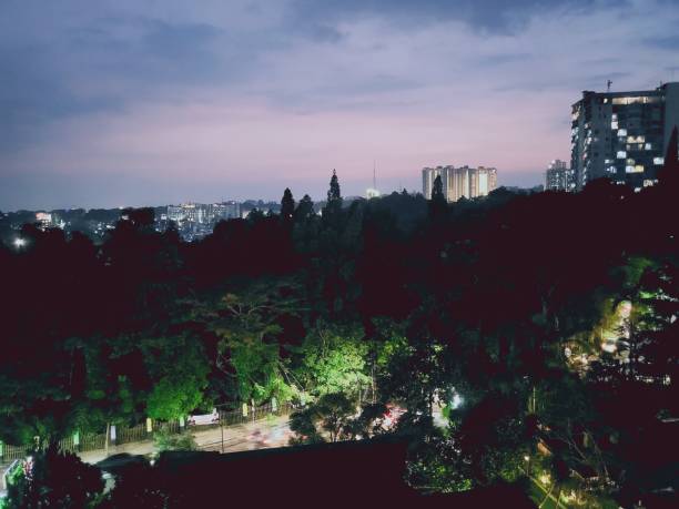 istock Sunset in the city 1495090780