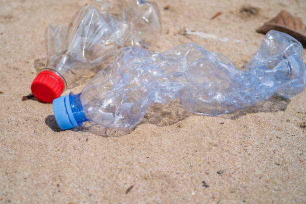 istock Garbage of plastic bottles on the beach 1495090791