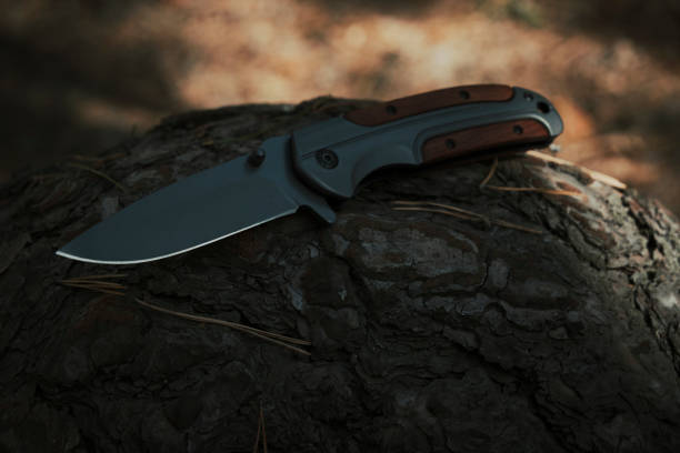 istock Folding knife with wooden handle lies in forest fallen tree. 1495093414