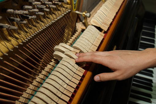 Repair of a stringed musical instrument. Inside view of a piano with brass metal strings and a wooden mallet. A musical instrument for performing music in a disassembled form