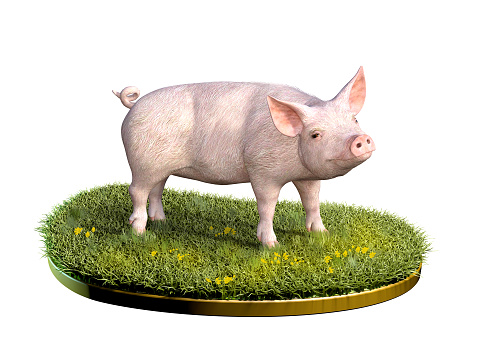 Cute pig in a patch of green grass. Digital illustration, 3D render.