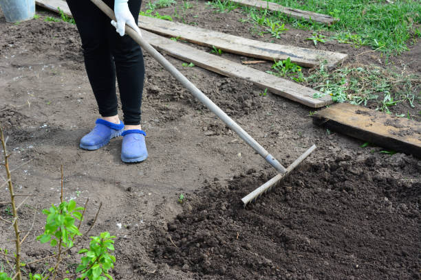 istock a woman working in the garden wth rake, copy space 1495097244