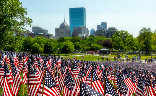 Boston, Massachusetts, USA - May 29, 2023: Memorial Day Flag Garden on the Boston Common. Thirty seven thousand American flags for the annual U. S. Memorial Day celebration. Back Bay buildings in the background.
