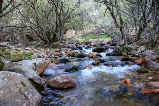 istock Mountain river full of rocks 1495099553
