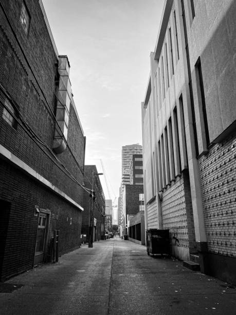 istock Black and white Alley 1495100922