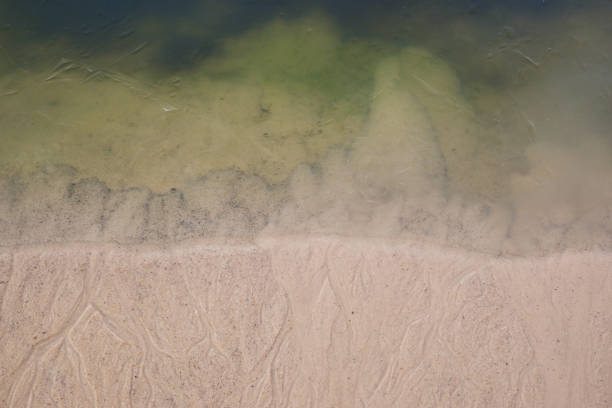 istock Background blurred by groundwater sandy river bank, first ice on water 1495104242