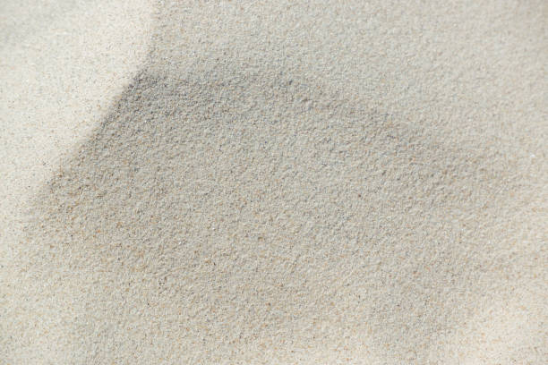 istock White sand texture. Sand on the North sea beach as background. Natural pattern, sand surface, abstract background 1495104299