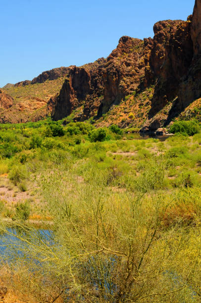 istock Salt River Recreation Area Arizona 1495106530