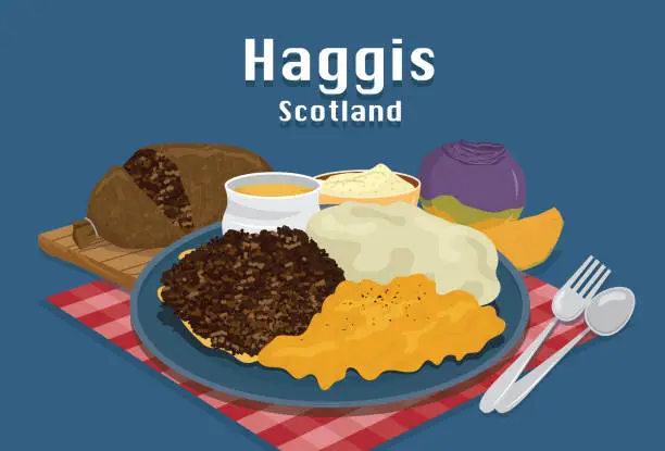 Vector illustration of Traditional tasty cuisine. Cartoon of haggis Scottish delicacy, mutton mince with onion and fat cooked in lamb stomach, delicious dish.