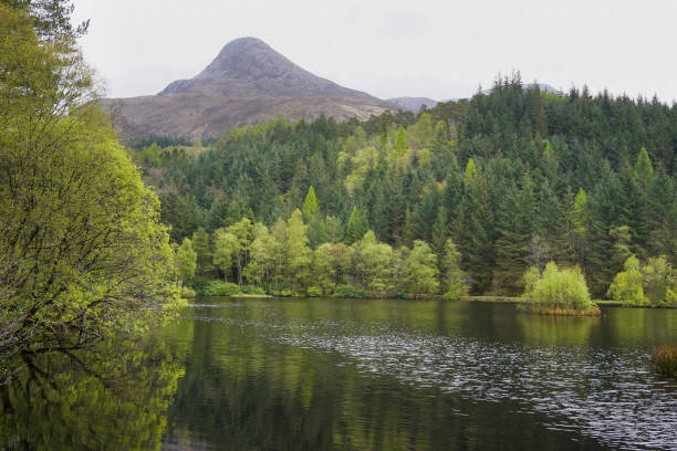 istock Glencoe Lochan in Scotland 1495106988