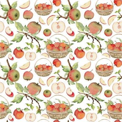 Hand drawn watercolor apple fruits in basket, ripe, full and slices red and green. Seamless pattern. Isolated object on white background. Design for wall art, wedding, print, fabric, cover, card