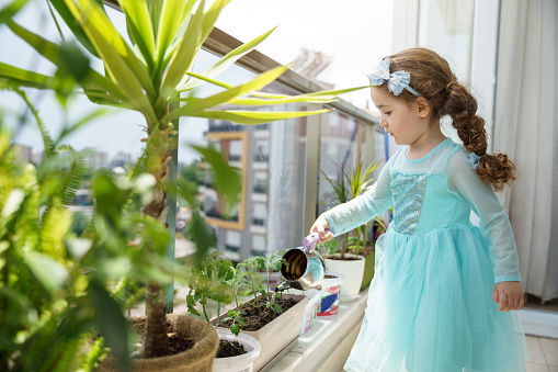 Little cute baby girl giving water to fruit trees on the balcony. urban farming balcony gardening