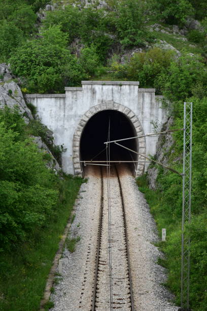 istock Entrance in the old railway tunnel 1495132896