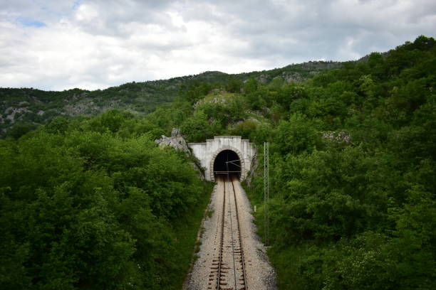 istock Entrance in the old railway tunnel 1495133132