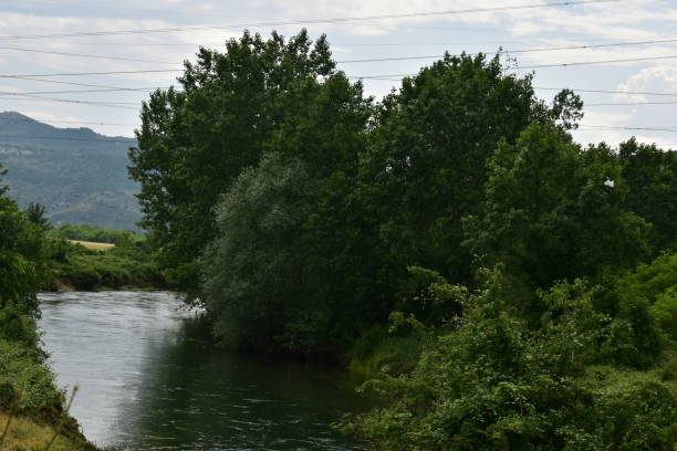 istock river in the woods in summer 1495134341